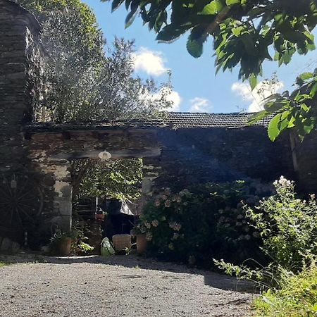 Le Petit Nid Bed and Breakfast Sablieres Buitenkant foto