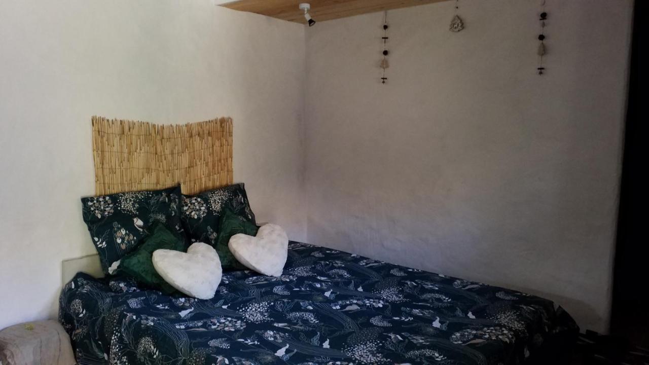 Le Petit Nid Bed and Breakfast Sablieres Buitenkant foto