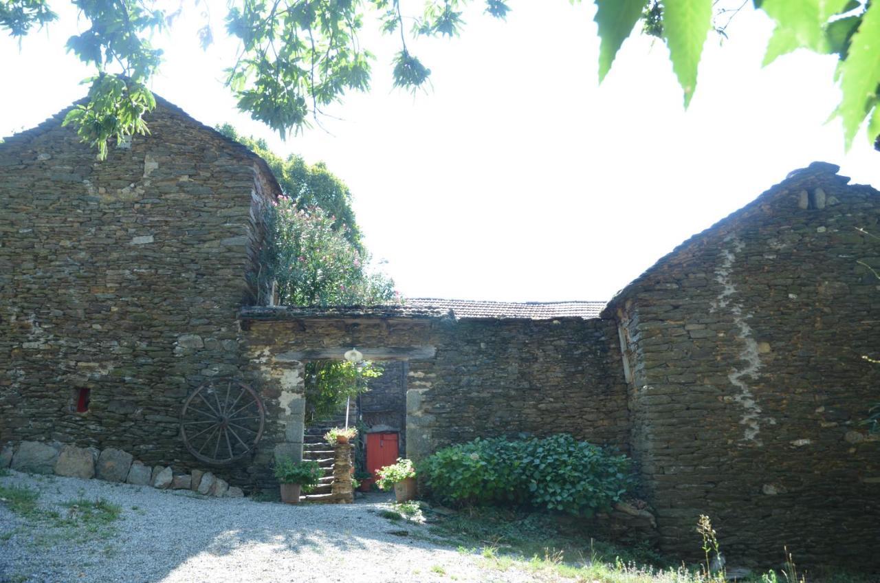 Le Petit Nid Bed and Breakfast Sablieres Buitenkant foto