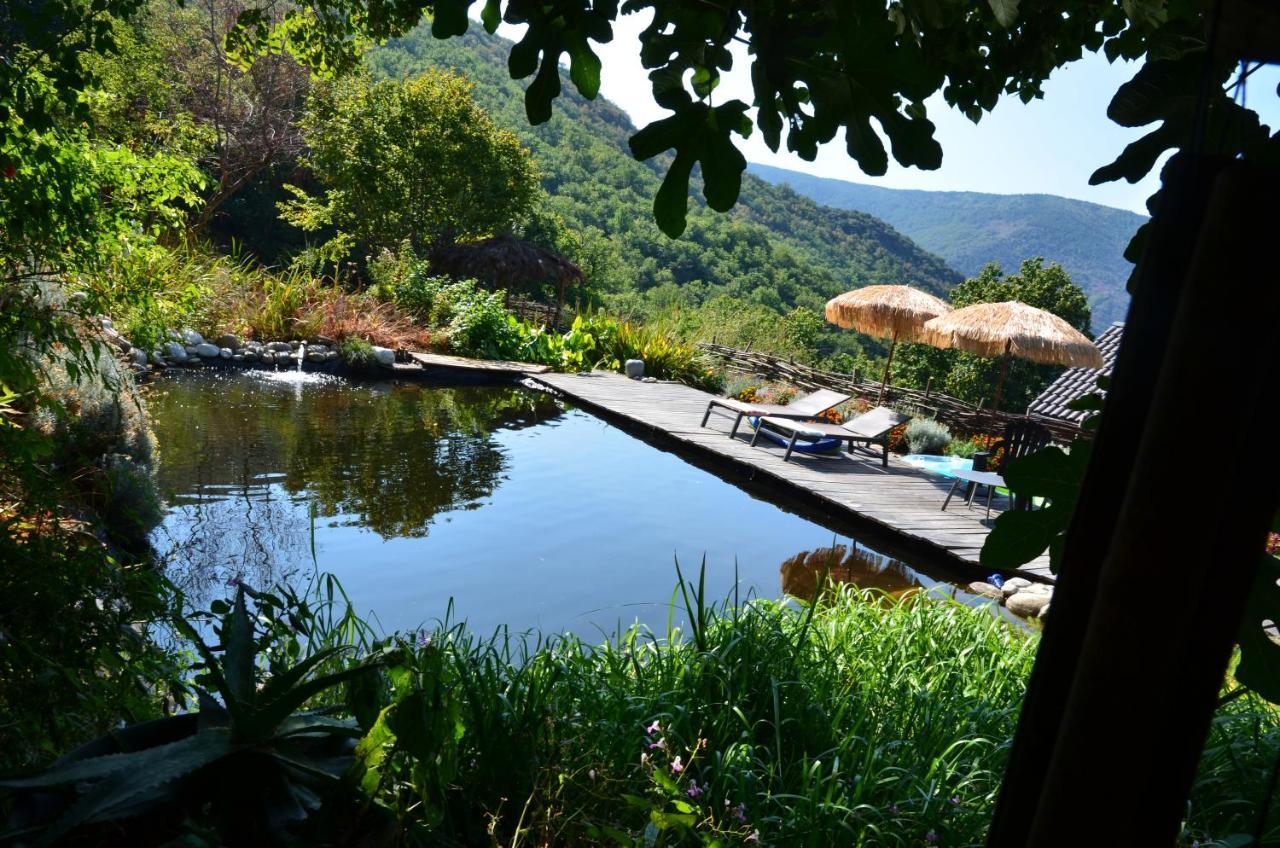 Le Petit Nid Bed and Breakfast Sablieres Buitenkant foto